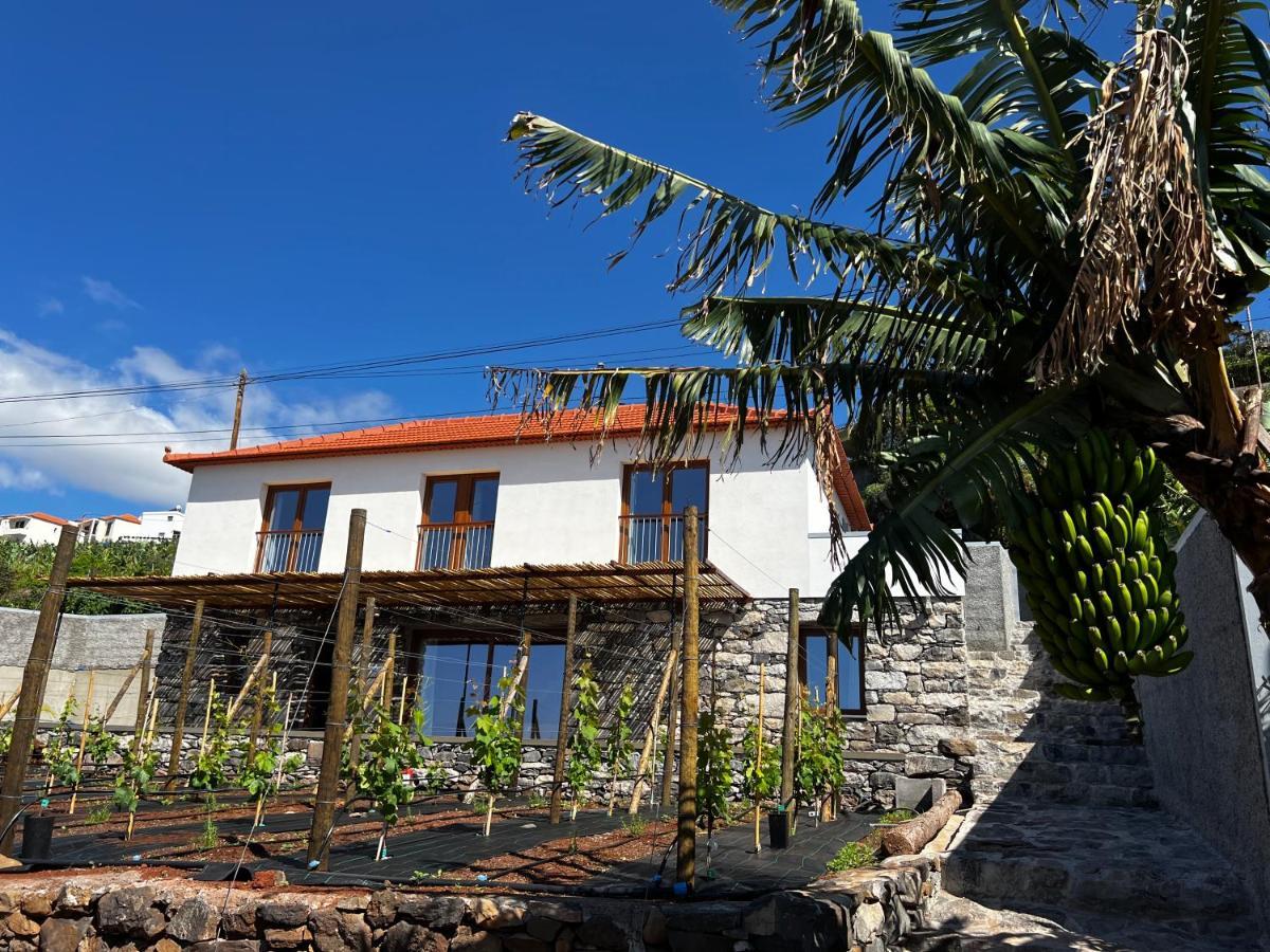 Casas Do Laranjo- Cottages & Infinity Pool Gaula Exterior foto