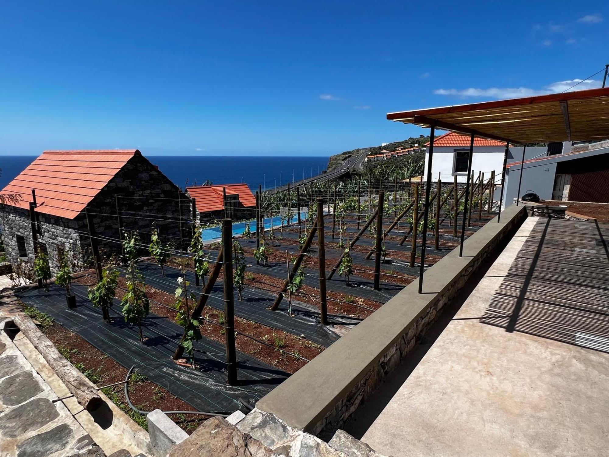 Casas Do Laranjo- Cottages & Infinity Pool Gaula Exterior foto